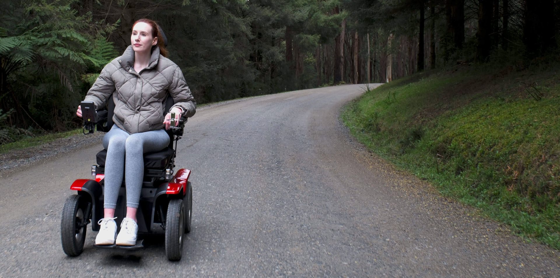 High capacity batteries