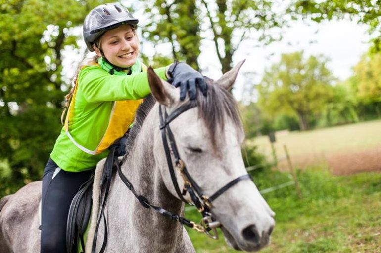 equine therapy