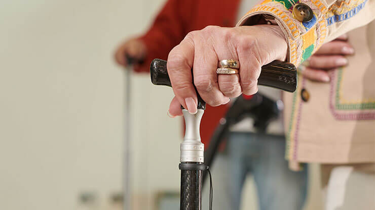 Extendable Walking Stick